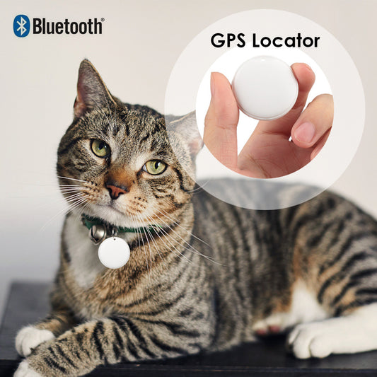 Mini GPS Tracker: Never Lose Your Pets or Keys Again! - Decent Meow